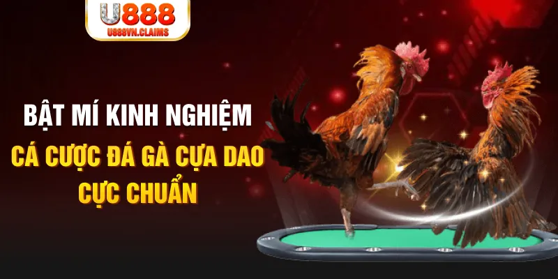 shbet997 trong baccarat, ai là người chia bài chính？