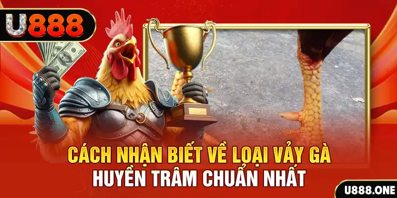 shbet997 Chú hề Patty tuổi teen