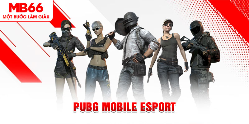 shbet997 gà chọi c1 mới nhất