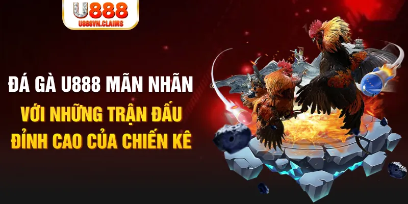 shbet997 kết quả xổ số miền bắc ngày hôm nay