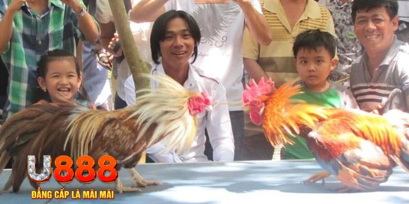 shbet997 mơ thấy nổ hũ đánh con gì