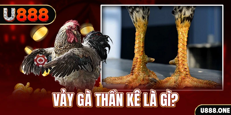 shbet997 xổ số miền bắc thứ tư hàng tuần