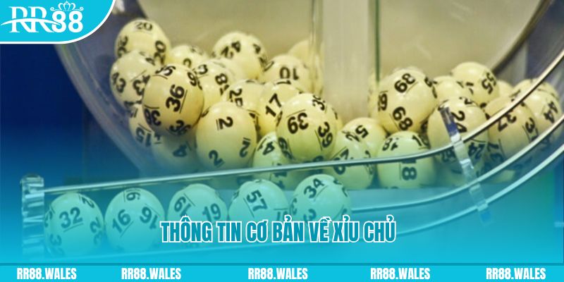 shbet997 baccarat long bảo là gì