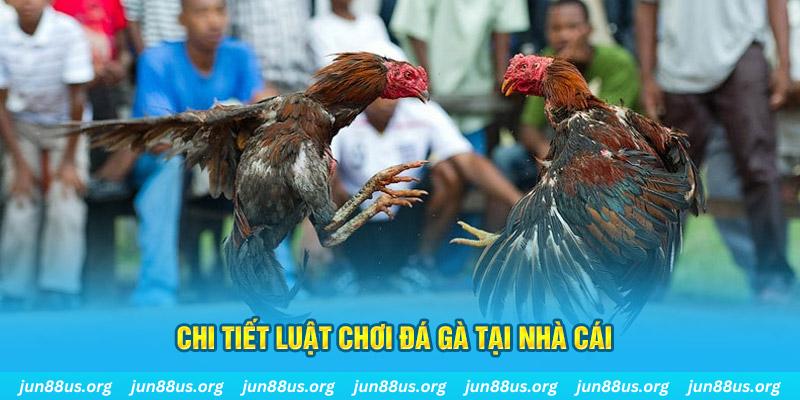 shbet997 đăng nhập sòng bạc uy tín