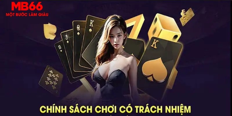 shbet997 SE Trực Tuyến