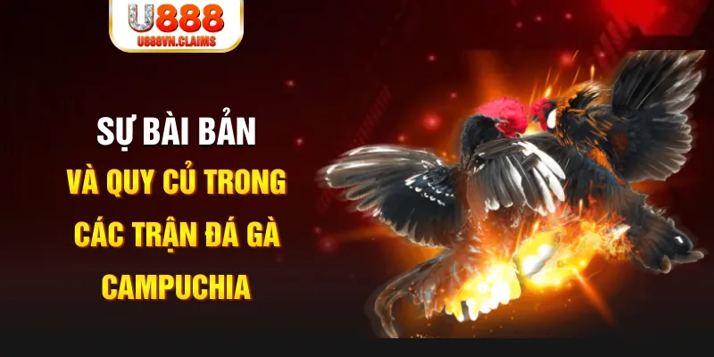 shbet997 baccarat lừa đảo như thế nào