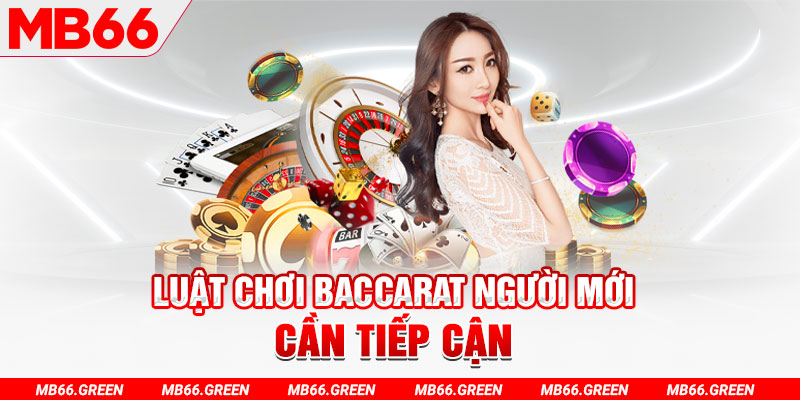 shbet997 đăng nhập roulette hàng đầu