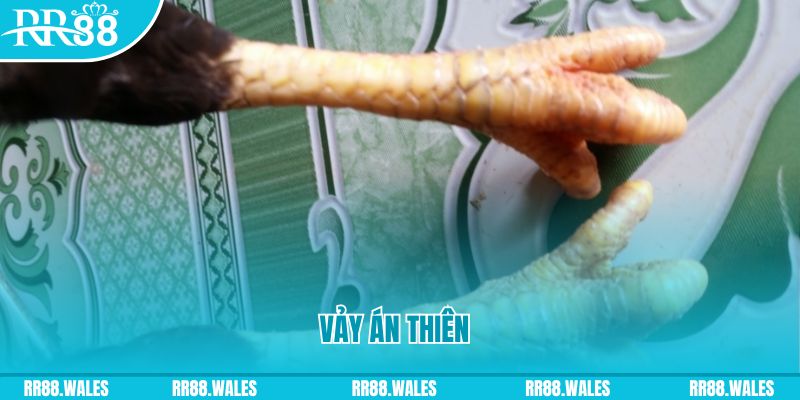 shbet997 who wants to be a millionaire slot