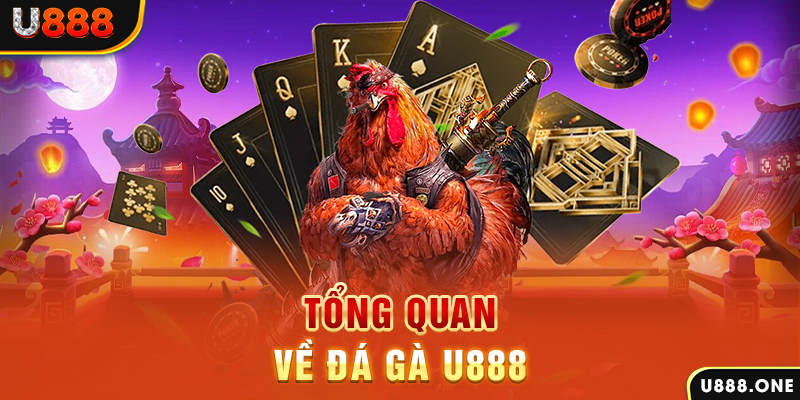 shbet997 baccarat có lừa đảo không