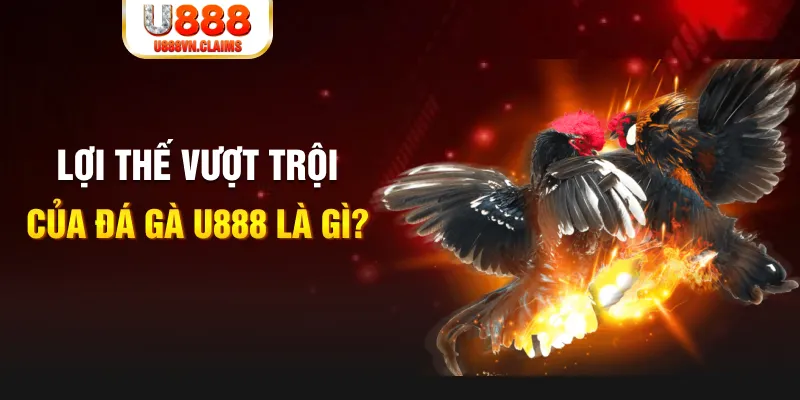shbet997 888 slot là gì