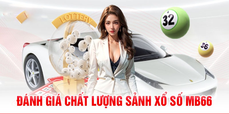 shbet997 789bet có bao nhiêu sảnh game bài 3d ？